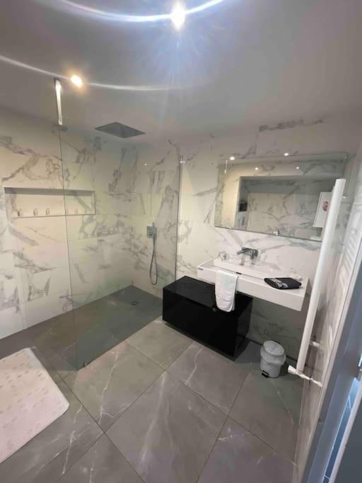 Grand Appartement Avec Vue Magnifique - Vercors - Une Experience Unique - Wifi Gratuit Grenoble Exteriér fotografie
