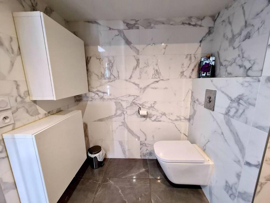 Grand Appartement Avec Vue Magnifique - Vercors - Une Experience Unique - Wifi Gratuit Grenoble Exteriér fotografie